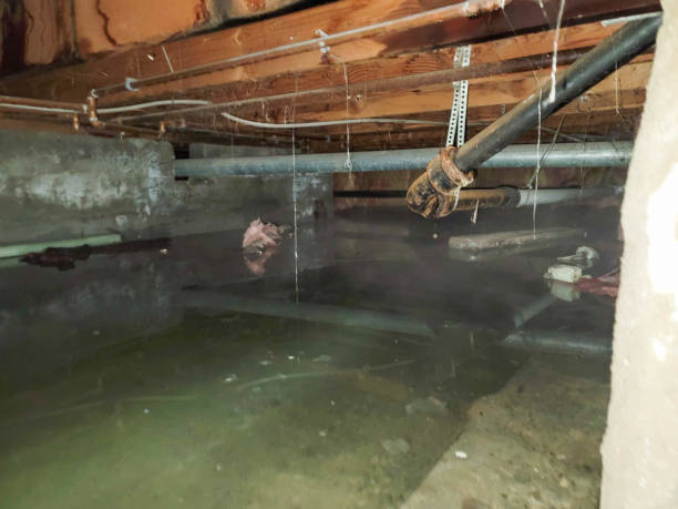 24/7 water damage repair in Eastvale, CA