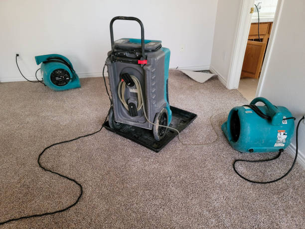 Best Basement water damage restoration  in Eastvale, CA