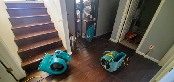 Best Water damage cleanup near me  in Eastvale, CA