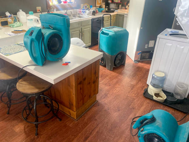 Best Professional water damage repair  in Eastvale, CA