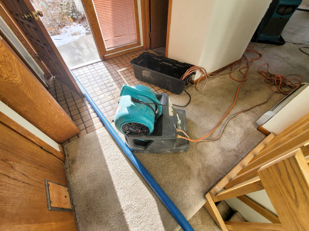 Best Fire Damage Restoration  in Eastvale, CA
