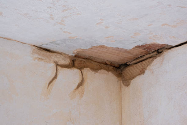 Best Ceiling water damage repair  in Eastvale, CA