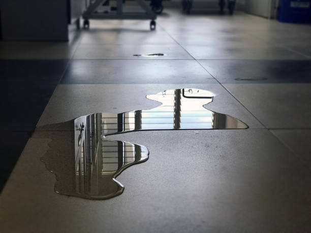 Best Water damage contractors near me  in Eastvale, CA